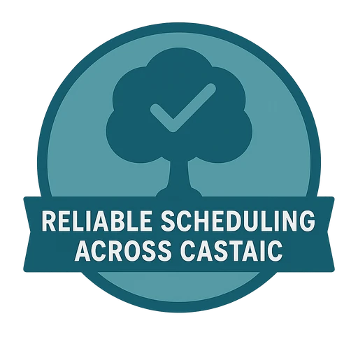Reliable Scheduling Across Castaic